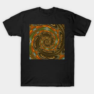 Serpent Mound Cymatics 50 T-Shirt